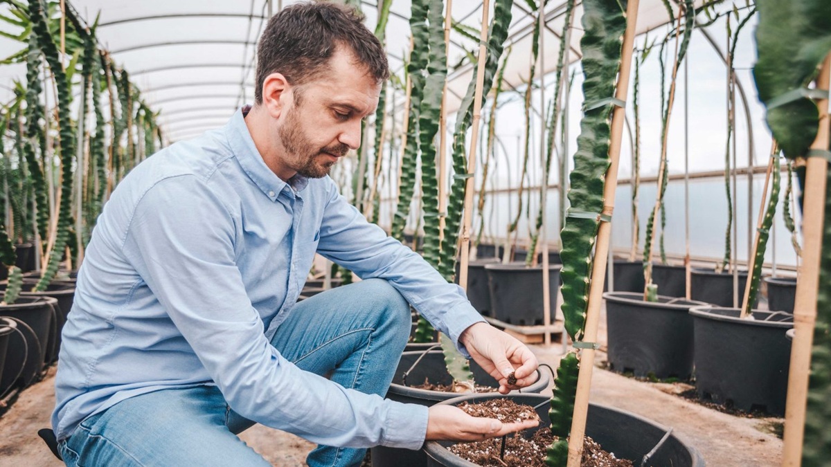 AGRO+, un servicio de asesoramiento integral para cultivos hidropónicos